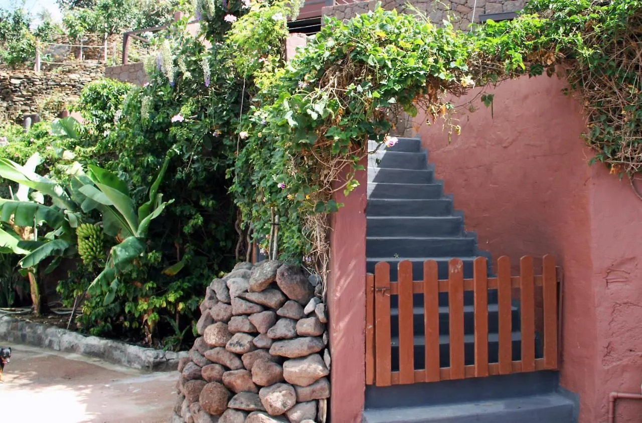 Tonono'S Village Santa Maria de Guia de Gran Canaria Apartment